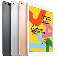 Apple iPad (7. Gen.) Wifi Neuwertig