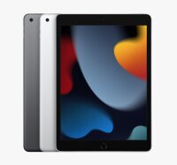 Apple iPad (9. Gen.) 2021 10.2" Cellular Akzeptabel